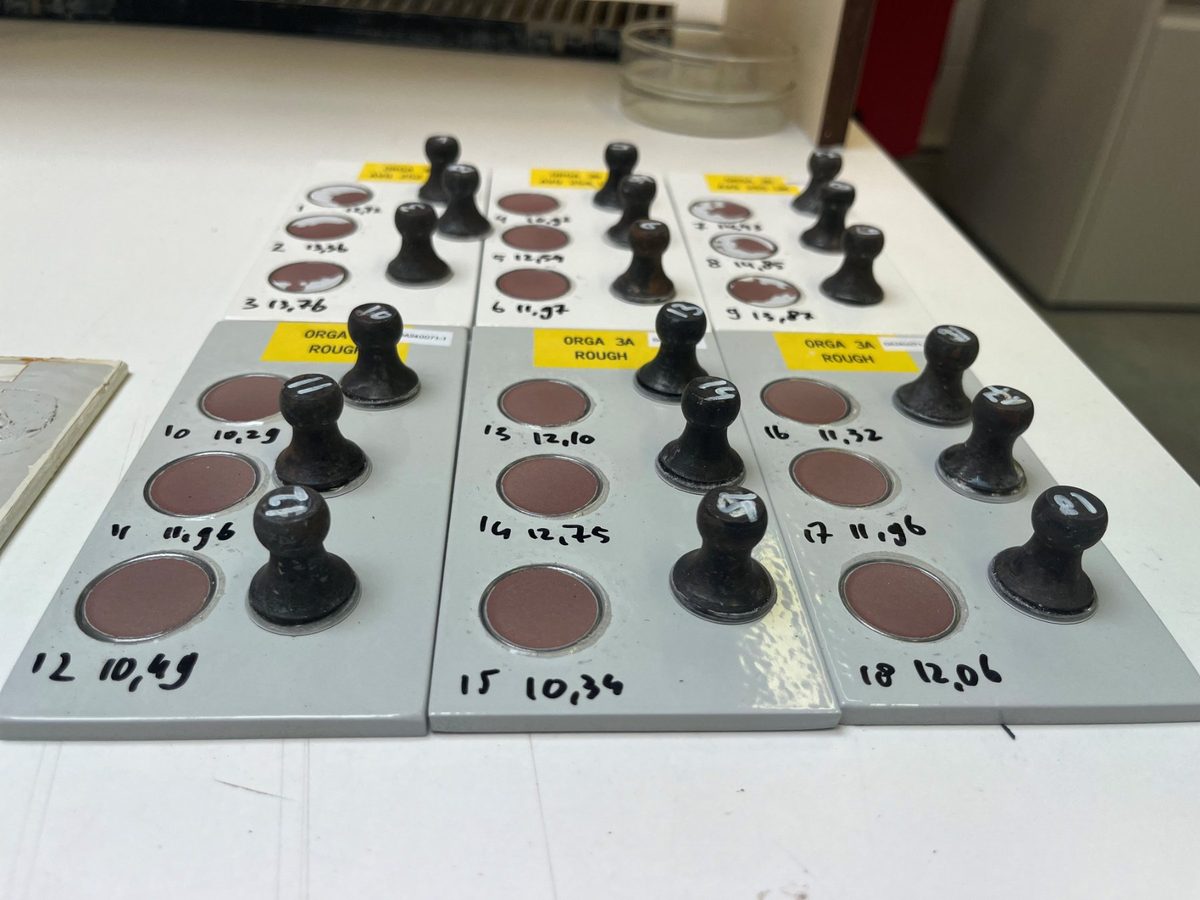 Testplaten met afgetrokken dolly's en genummerde meetwaarden in MPa naast de breukvlakken