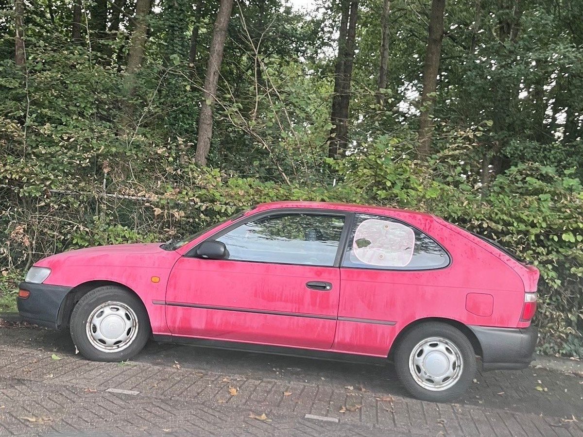 Auto met sterk verbleekte, roze geworden lak langs een bosrand